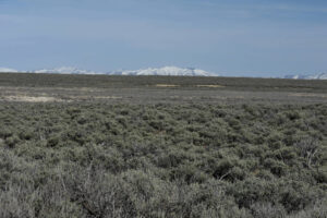 Scenic view of Monument Hills East Pond 2023-04-27, #31, with Bull Run Mountains in distance; has fairy shrimp; Tuscarora BLM Office