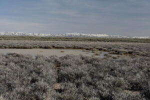 Scenic view of Monument Hills East Pond 2023-04-27, #36, with Snowstorm Mountains in the distance; has fairy shrimp; Tuscarora BLM Office