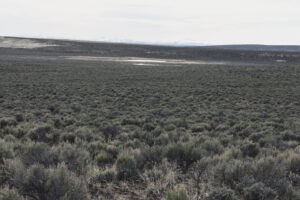 Scenic view of Monument Hills North Pond #1 2023-04-26, #14, with Santa Rosa Range on horizon; has fairy shrimp; Tuscarora BLM Office