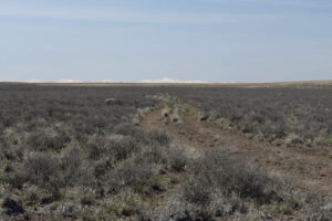 Scenic view of road to Owyhee Middle Dry Lake 2023-04-28, #30, with Santa Rosa Range in distance; dry; Tuscarora BLM Office