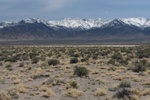 Scenic view of Railroad Southwest Pond #1 2023-04-14, #03; dry; Tonopah BLM Office