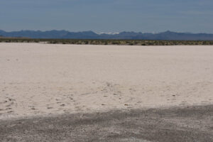 Scenic view of Railroad Southwest Pond #1 2023-04-14, #04; dry; Tonopah BLM Office