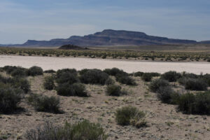 Scenic view of Railroad Southwest Pond #3 2023-04-14, #06; dry; Tonopah BLM Office