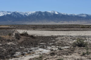 Scenic view of Raven Roost Reservoir 2023-04-15, #16, with Grant Range in distance; has fairy shrimp; Tonopah BLM Office