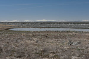 Scenic view of Resting Antelope Pond 2023-04-28, #62, with Santa Rosa Range in distance; has fairy shrimp; Tuscarora BLM Office