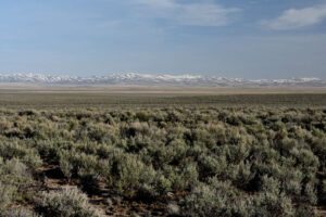 Scenic view of "Silver Lake" 2023-04-27, #38, with Snowstorm Mountains in distance; has fairy shrimp; Tuscarora BLM Office