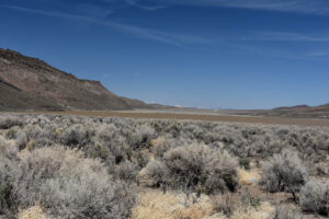 Scenic view of Squaw Flat Playa Lake 2023-04-16, #06; has fairy shrimp; Tonopah BLM Office