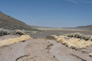 Scenic view of Squaw Flat Playa Lake 2023-04-16, #07; has fairy shrimp; Tonopah BLM Office