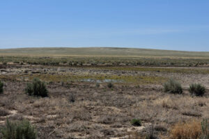 Scenic view of Surviving Sagebrush Pond 2023-04-28, #56; has fairy shrimp; Tuscarora BLM Office