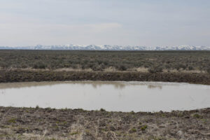 Scenic view of Twelvemile Flat Pond #1 2023-04-27, #16, with Snowstorm Mountains on horizon; has fairy shrimp; Tuscarora BLM Office