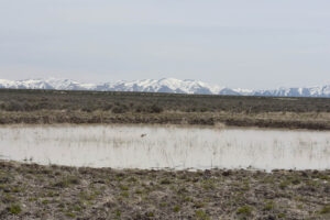 Scenic view of Twelvemile Flat Pond #2 2023-04-27, #19, with Bull Run Mountains in distance; dry; Tuscarora BLM Office