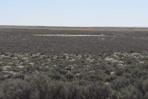 Scenic view of Wolf Creek Northeast Dry Lake 2023-04-28, #72; has fairy shrimp; Tuscarora BLM Office