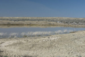 Scenic view of Wolf Creek Northeast Dry Lake 2023-04-28, #76, with ducks; has fairy shrimp; Tuscarora BLM Office