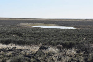 Scenic view of Wolf Creek Northeast Dry Lake 2023-04-28, #79; has fairy shrimp; Tuscarora BLM Office