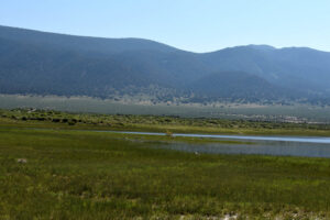 Scenic view of "Alkali Lake" 2023-07-06, #07, with gulls; has fairy shrimp; Bridgeport Ranger District, Humboldt-Toiyabe National Forest