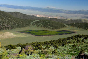 Scenic view of Bald Mountain Big Dry Lake 2023-07-13 #16, with grass, lacks fairy shrimp; Bridgeport Ranger District, Humboldt-Toiyabe National Forest, Wovoka Wilderness