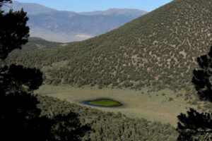 Scenic view of Bald Mountain "Dry" VABM Saddle Pond 2023-07-13 #19, with grass, lacks fairy shrimp; Bridgeport Ranger District, Humboldt-Toiyabe National Forest, Wovoka Wilderness