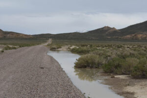 Scenic view of North Smith Creek Playa Channel Ponds 2023-05-09, #12, with Toiyabe Range on horizon; has fairy shrimp; Mount Lewis BLM Office