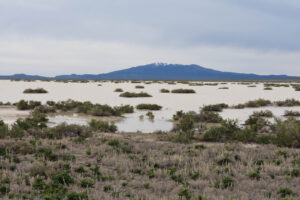 Scenic view of North Smith Creek Playa Lake 2023-05-09, #14, with New Pass Range on horizon; has fairy shrimp; Mount Lewis BLM Office