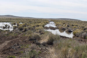 Flooded road in Owyhee Desert; Tuscarora BLM Office