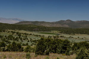 Scenic view of Small Rare Plant Habitat Pond 2023-07-13 #01, with grass, has fairy shrimp; Bridgeport Ranger District, Humboldt-Toiyabe National Forest, Wovoka Wilderness