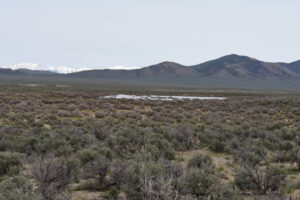 Scenic view of Smith Creek US 50 Sagebrush Pond 2023-05-09, #06, with Shoshone and Toiyabe ranges in distance; has fairy shrimp; Mount Lewis BLM Office