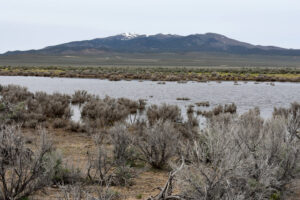 Scenic view of Smith Creek US 50 Sagebrush Pond 2023-05-09, #07, with New Pass Range in distance; has fairy shrimp; Mount Lewis BLM Office