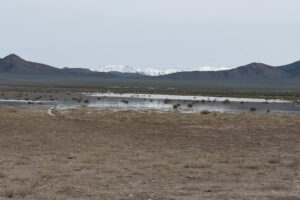 Scenic view of Smith Creek US 50 Well Pond 2023-05-09, #01, with Toiyabe Range in distance; has fairy shrimp; Mount Lewis BLM Office