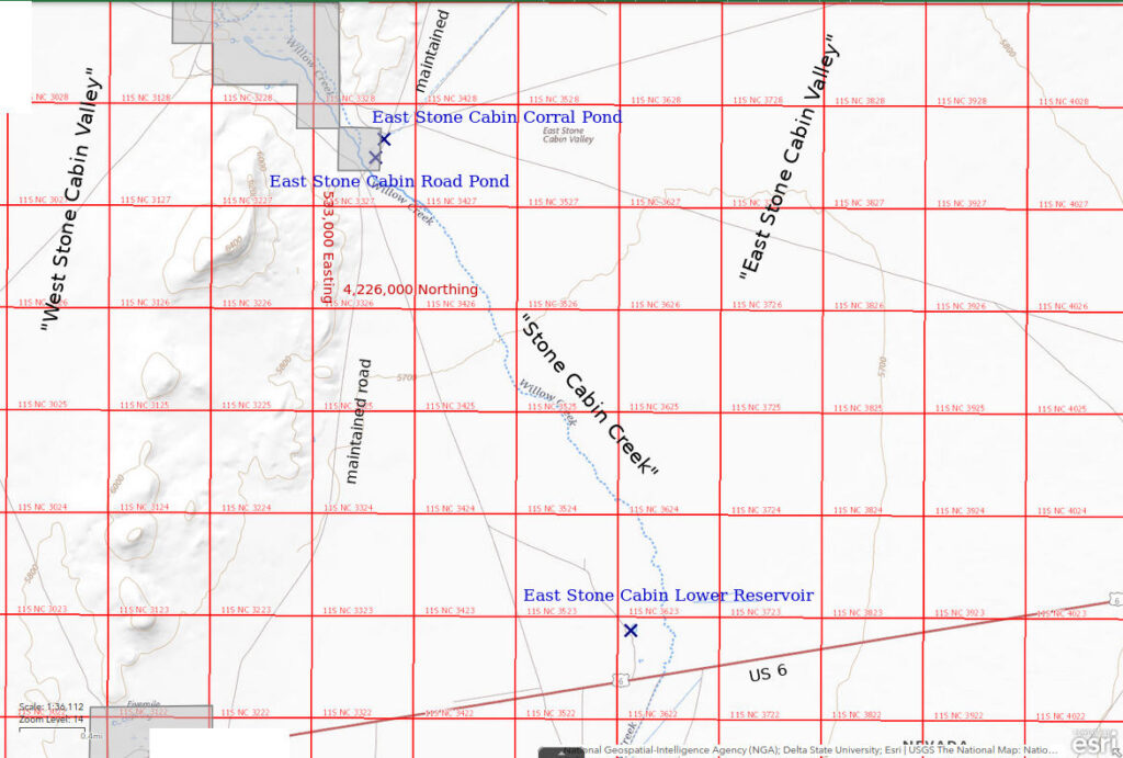 Topographic Map of East Stone Cabin Corral Pond and nearby ponds; The National Map with contours, roads, perennial/ephemeral water bodies, forest cover, marsh, UTM grid, private land