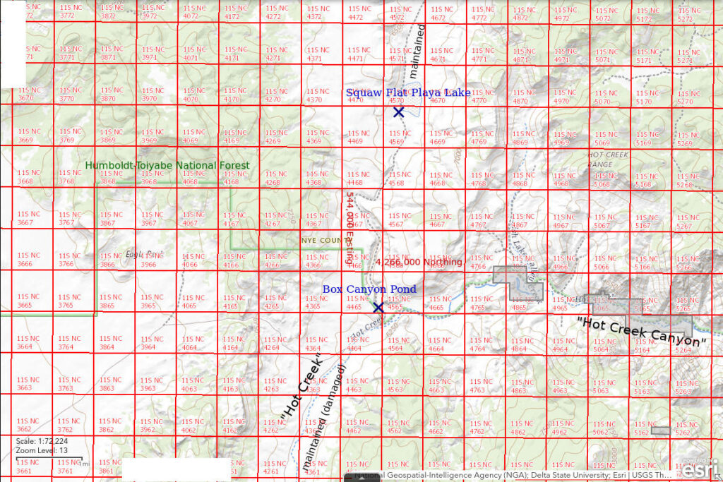 Topographic Map of Box Canyon Pond and Squaw Flat Playa Lake; The National Map with contours, roads, perennial/ephemeral water bodies, forest cover, marsh, UTM grid, private land