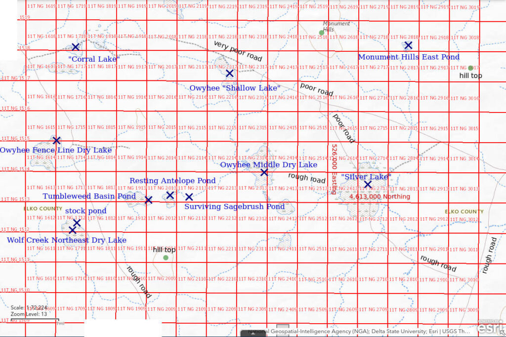 Topographic Map of "Silver Lake" and nearby ponds; The National Map with contours, roads, perennial/ephemeral water bodies, forest cover, marsh, UTM grid, private land