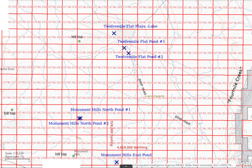 Topographic Map of Twelvemile Flat Playa Lake and Nearby Ponds; The National Map with contours, roads, perennial/ephemeral water bodies, forest cover, marsh, UTM grid, private land