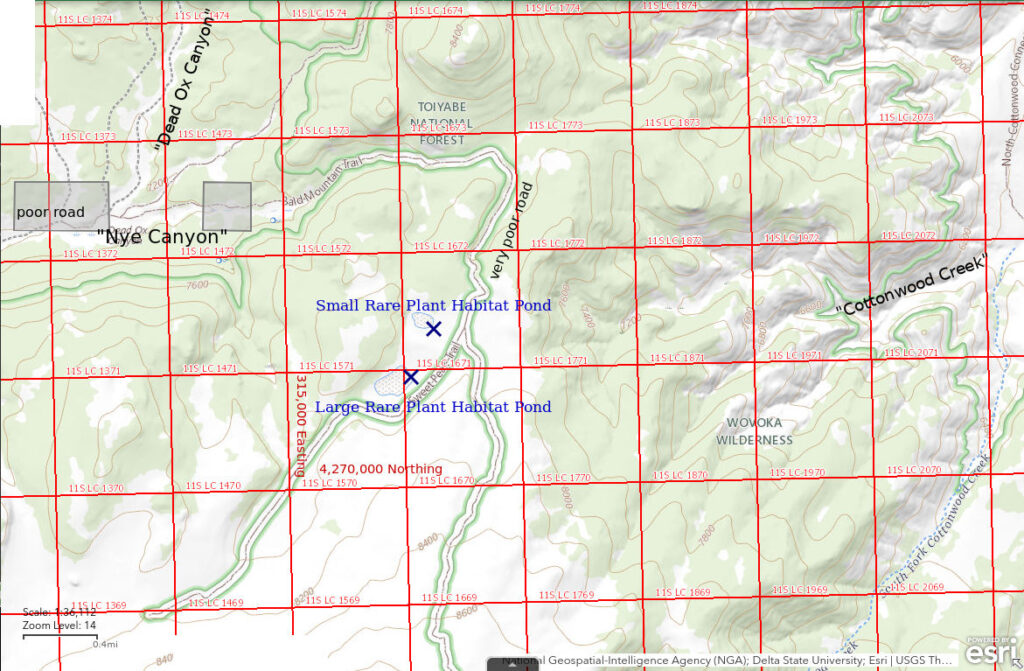 Topographic Map of Small and Large Rare Plant Habitat Ponds; The National Map with contours, roads, perennial/ephemeral water bodies, forest cover, marsh, UTM grid, private land