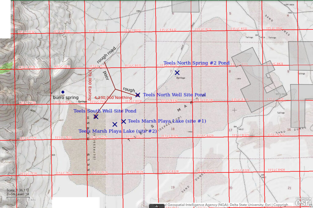 Topographic Map of Teels Marsh Playa Lake and Nearby Ponds; The National Map with contours, roads, perennial/ephemeral water bodies, forest cover, marsh, UTM grid, private land