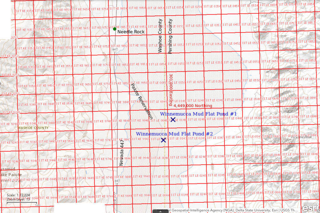 Topographic Map of Winnemucca Mud Flat Pond #1 and Pond #2; The National Map with contours, roads, perennial/ephemeral water bodies, forest cover, marsh, UTM grid, private land