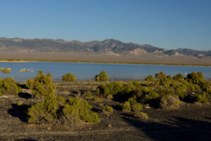 Scenic view of Aiken Playa Lake 2023-08-30, #29, with Toquima Range in distance; lacks fairy shrimp; Mount Lewis BLM Office