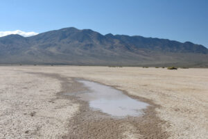 Scenic view of Kibby Fat Rut Pond 2023-09-06, #27, with Pilot Mountains in distance; lacks fairy shrimp; Tonopah BLM Office