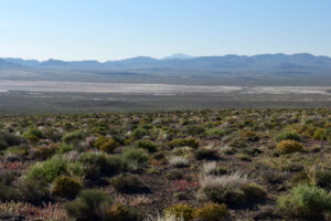 Scenic view of Kibby Flat Playa Lake 2023-09-06, #01, with Lone Mountain on horizon; has fairy shrimp; Tonopah BLM Office