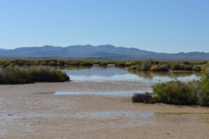 Scenic view of Kibby Flat Playa Lake 2023-09-06, #05, with Monte Cristo Range in distance; has fairy shrimp; Tonopah BLM Office