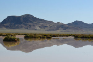 Scenic view of Kibby Flat Playa Lake 2023-09-06, #09, with Cedar Hills in distance and birds; has fairy shrimp; Tonopah BLM Office