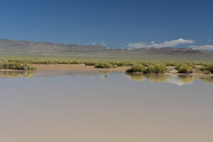 Scenic view of Kibby Flat Playa Lake 2023-09-06, #14, with Cedar Hills in distance and duck; has fairy shrimp; Tonopah BLM Office