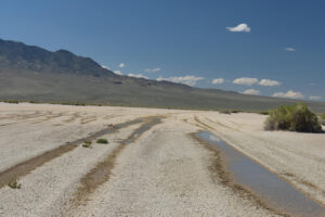 Scenic view of Kibby Triple Rut Pond 2023-09-06, #24, with Pilot Mountains in distance; lacks fairy shrimp; Tonopah BLM Office