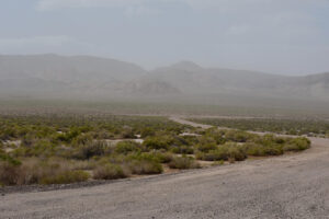 Scenic view of Kibby Wells Road Junction Pond 2023-09-01, #01; has fairy shrimp; Tonopah BLM Office