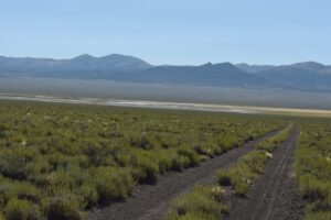 Scenic view of Monitor Playa Lake 2023-08-31, #01; may or may not have fairy shrimp; Mount Lewis BLM Office