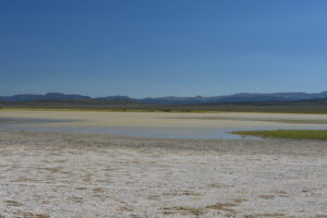 Scenic view of Monitor Playa Lake 2023-08-31, #02; may or may not have fairy shrimp; Mount Lewis BLM Office