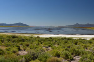 Scenic view of Monitor Playa Lake 2023-08-31, #09; may or may not have fairy shrimp; Mount Lewis BLM Office