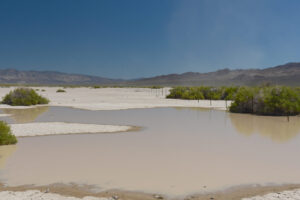 Scenic view of Playa Wire Gate Pond 2023-08-28, #01; has fairy shrimp; Stillwater BLM Office