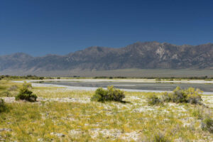 Scenic view of Smoky Comma Pond 2023-08-30, #06, with Toiyabe Range in distance; lacks fairy shrimp; Mount Lewis BLM Office