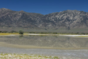 Scenic view of Smoky Hawthorn Pond 2023-08-30, #05, with Toiyabe Range in distance; lacks fairy shrimp; Mount Lewis BLM Office