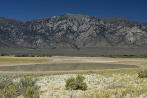 Scenic view of Smoky Sinuous Pond 2023-08-30, #08, with Toiyabe Range in distance; lacks fairy shrimp; Mount Lewis BLM Office